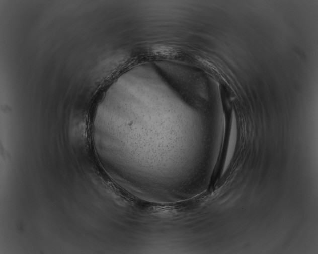 X0000090700424200708031417