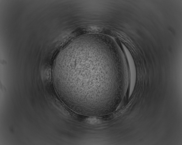 X0000090700425200708031417