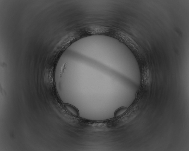 X0000090700426200708031417