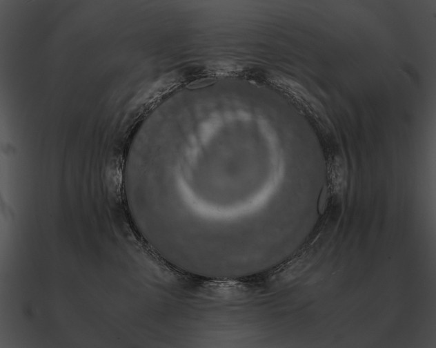 X0000090700427200708031417