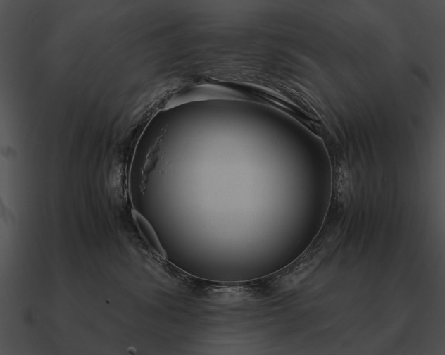 X0000090700428200708031417