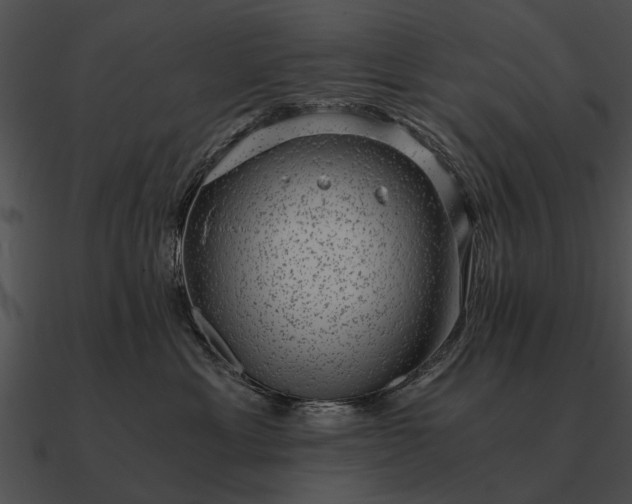 X0000090700429200708031417