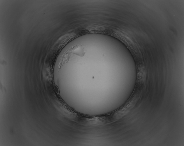 X0000090700430200708031417