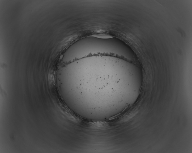 X0000090700432200708031417