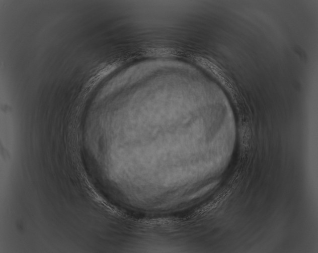 X0000090700433200708031416