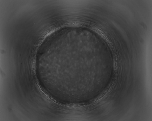 X0000090700434200708031416