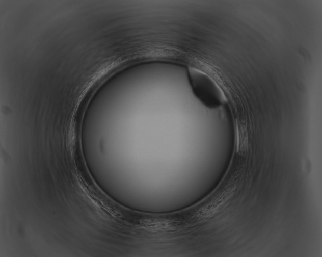 X0000090700435200708031416