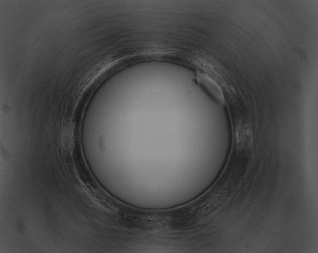 X0000090700436200708031416