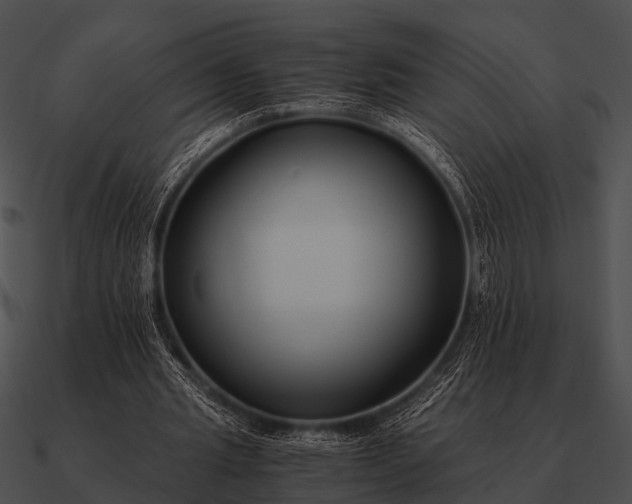 X0000090700437200708031416