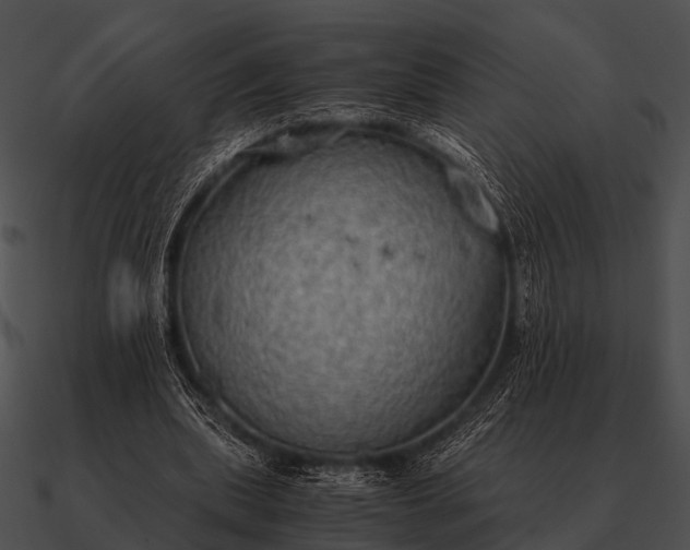 X0000090700439200708031416