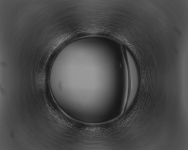 X0000090700440200708031416