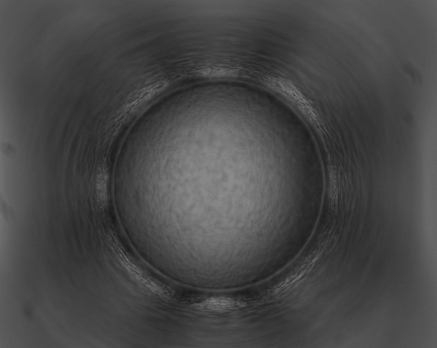 X0000090700441200708031416