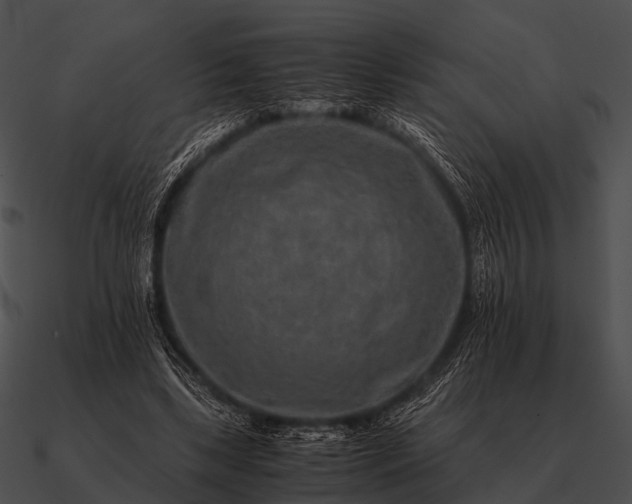 X0000090700443200708031416