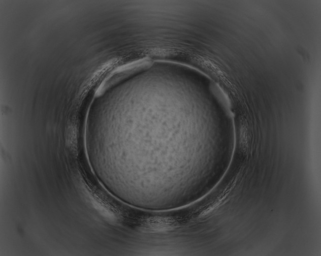 X0000090700444200708031416