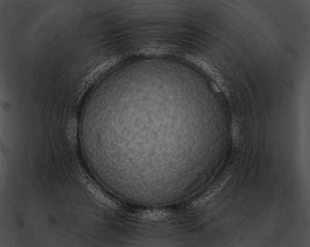 X0000090700445200708031416