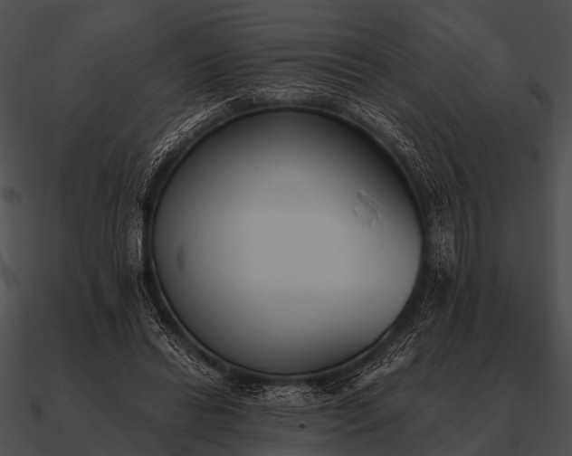 X0000090700446200708031416