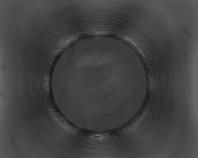 X0000090700447200708031416