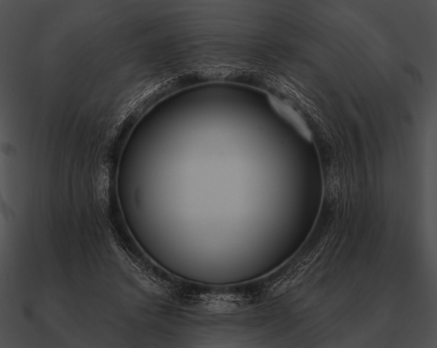 X0000090700448200708031417