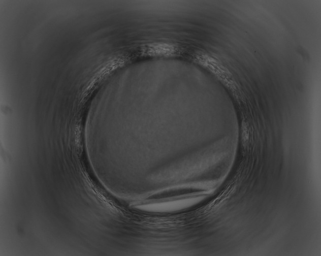 X0000090700449200708031417