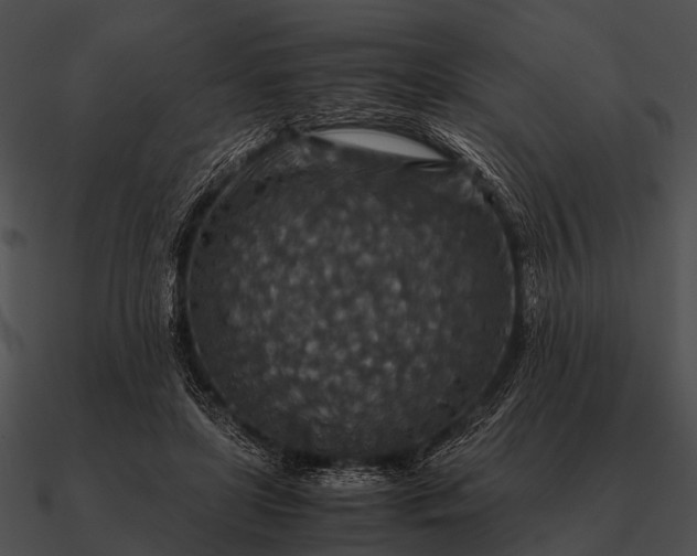 X0000090700451200708031417