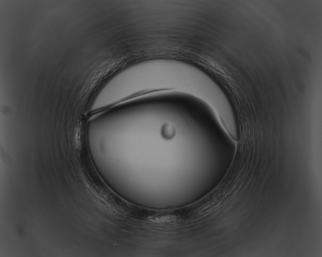 X0000090700452200708031417