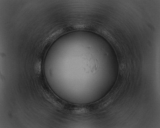 X0000090700454200708031417