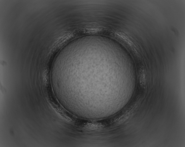 X0000090700455200708031417