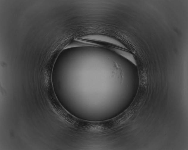 X0000090700456200708031417