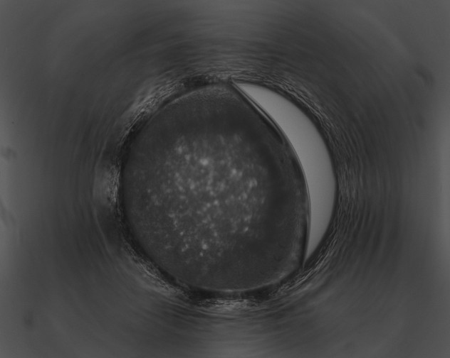 X0000090700458200708031417