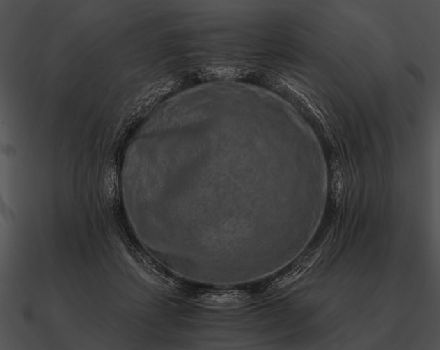 X0000090700459200708031417