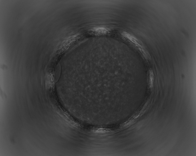 X0000090700467200708031417