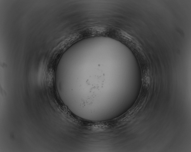 X0000090700468200708031417