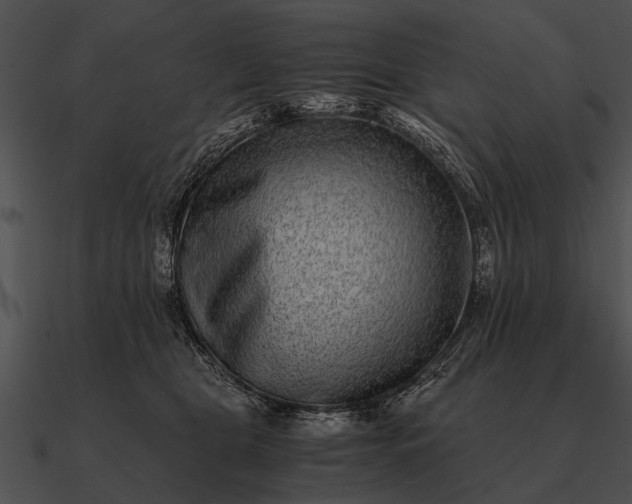 X0000090700469200708031417