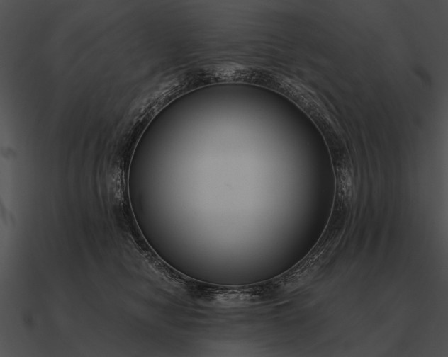 X0000090700470200708031417