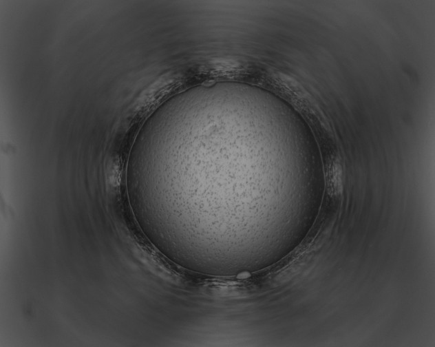 X0000090700472200708031417