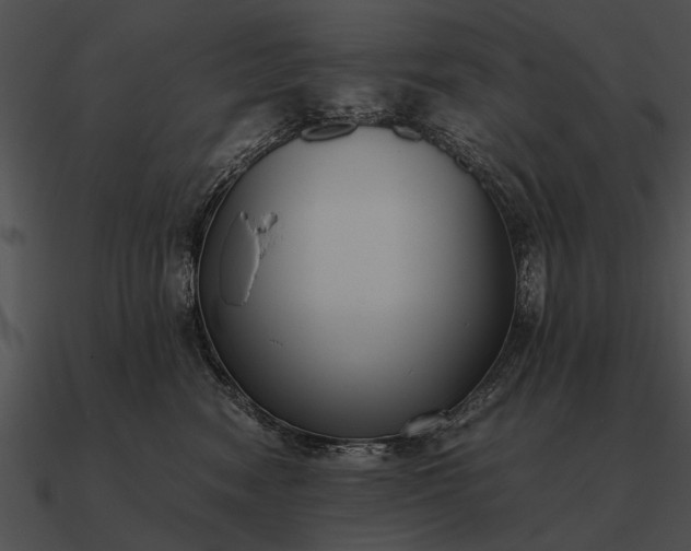 X0000090700474200708031417