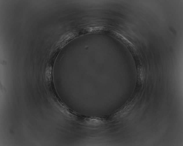 X0000090700475200708031417