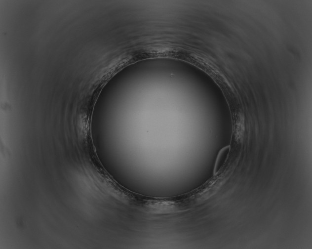 X0000090700476200708031417