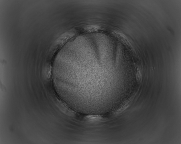 X0000090700477200708031417