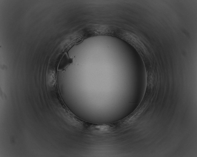 X0000090700478200708031417