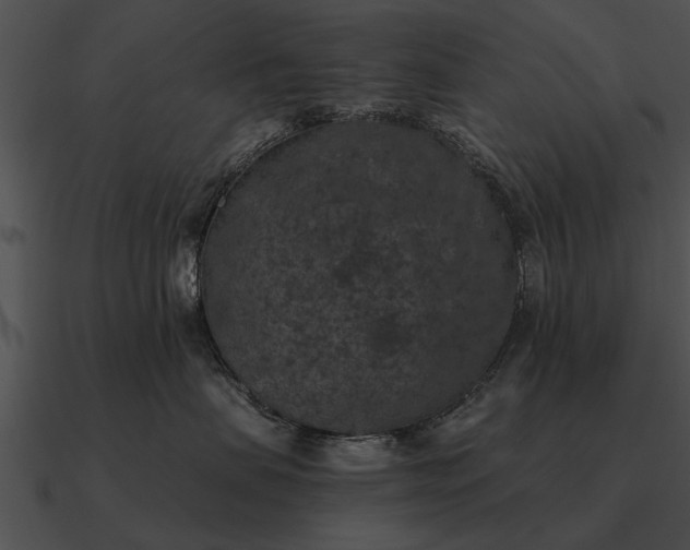 X0000090700479200708031417