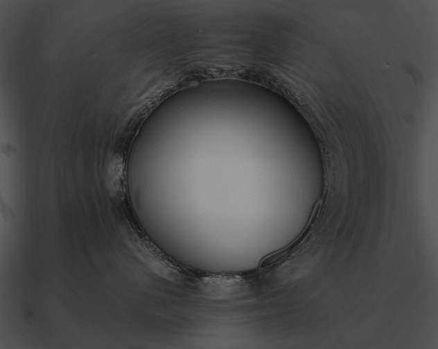 X0000090700480200708031417