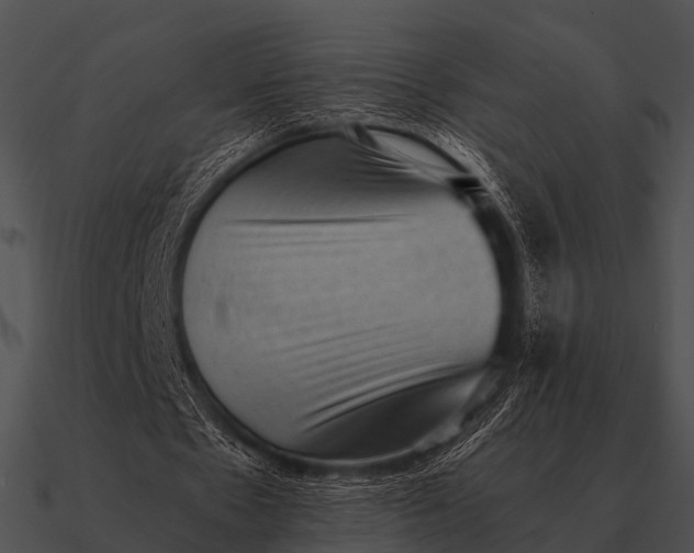 X0000090700481200708031416