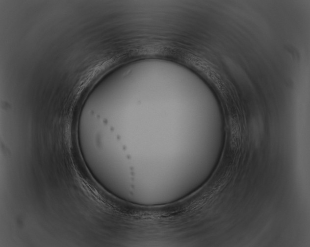 X0000090700482200708031416