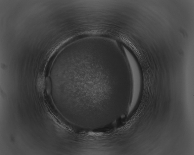 X0000090700484200708031416