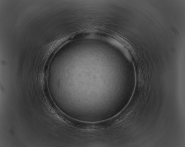 X0000090700485200708031416