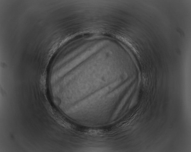 X0000090700487200708031416