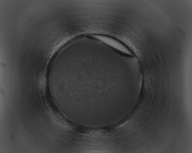 X0000090700488200708031416