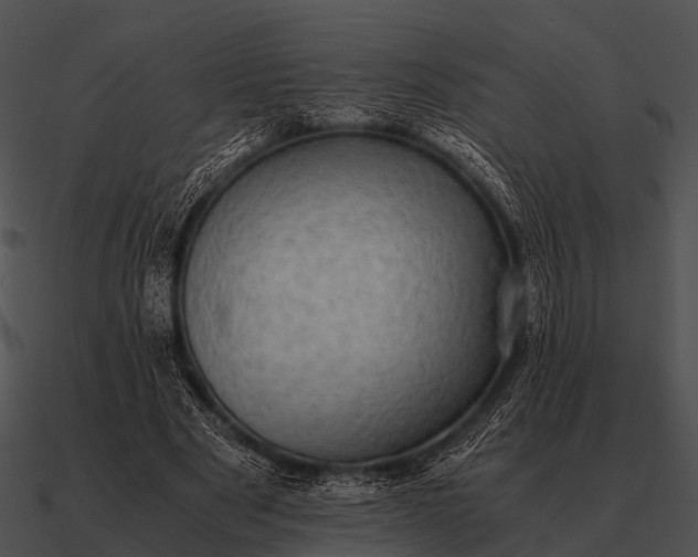 X0000090700489200708031416