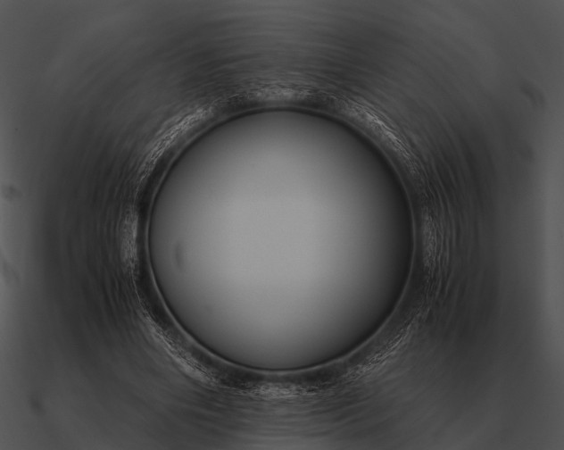 X0000090700490200708031416